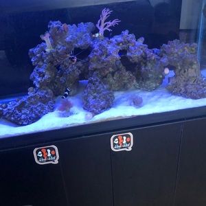 75 GALLON TANK; LIVE ROCK&MORE EQUIPMENT AVAILABLE